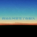 我站在风里等了你很久