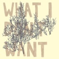 Electrician - I'm Dead Weight