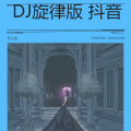 人生得意须尽欢 一首情歌两难  DJ旋律版 抖音