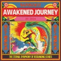 Harmony: Awakened Journey