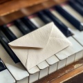 Letters From Mireille