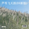 是苏尘吖、DJ. Hua Zai、Dary - 芦苇飞天涯 (DJ新版)