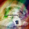 38 Bedrest Soothing Whispers