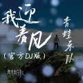 我迎着风 (官方DJ版)