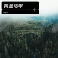 张智深 - 黄金马甲