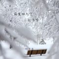 寂寞的天空纷飞雪