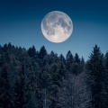Paz Nocturna: Música Para Un Sueño Reparador