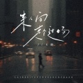 王韵 - 来人间走个过场