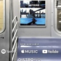 Severe (Explicit)