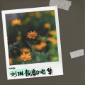 刘琳靓 - 大鱼