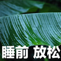 亭下听雨