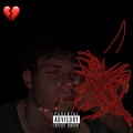 VDDY - STVR