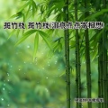 斑竹枝 斑竹枝 (泪痕点点寄相思)