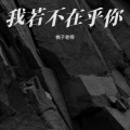 桃子老师 - 我若不在乎你