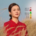 一件花衣裳 (女版)