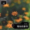 张小白儿 - 那个傻瓜