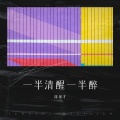 陈保才 - 一半清醒一半醉