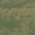 Hamdar - Soil