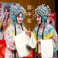 王敏、祖丽、强金香 - 将张氏严刑拷打