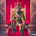 Zenci Maymun (Explicit)