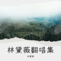 林黛薇 - 其实我很在乎你