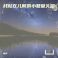 辰成 - 我站在儿时的小巷回头望