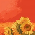 子果饼煎 - sunflower feelings