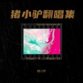 猪小驴 - 我不会喜欢你