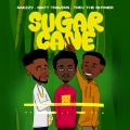 Trev the Rhymer、Raezzy、Matt Travers - SugarCane (Explicit)