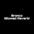 Im Surya - Bronco