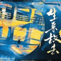 孙伟涵 - 生来故去