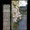 DJ21 - 伯虎说