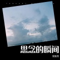 倪金茂 - 思念的瞬间