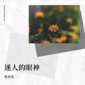 倪金茂 - 迷人的眼神