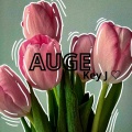 Key J - Auge (Explicit)