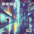 雨夜城市