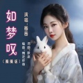 默念、圈圈 - 如梦叹
