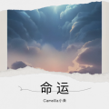 Camellia小朱 - 晨曦微光