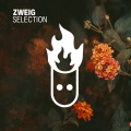 Zweig - Don't Let Me Go