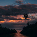 蘇夏 - 独行回忆