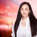 张冬玲 - 你说不会让我哭