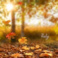 July - Yours