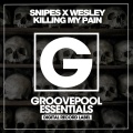 Snipes - Killing My Pain