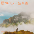 愿2025少一些辛苦