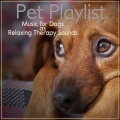 Dog Music Dreams、Dog Music Zone - Sleeping Music Waves