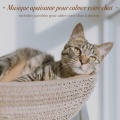 Musique apaisante pour calmer votre chat: mélodies paisibles pour aider votre chat à dormir