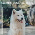 Dog Music Therapy、Dog Music Dreams、Relaxmydog - A Dog Music Experience