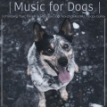 Music for Dogs : Soft Relaxing Music for Pets to Calm Your Dog Through a Peaceful Therapy Journe