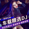 牛哥 - 你的上好佳 - 白鸽