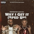 Way I get it (Sped Up)(feat. Rick Ross)(Explicit)